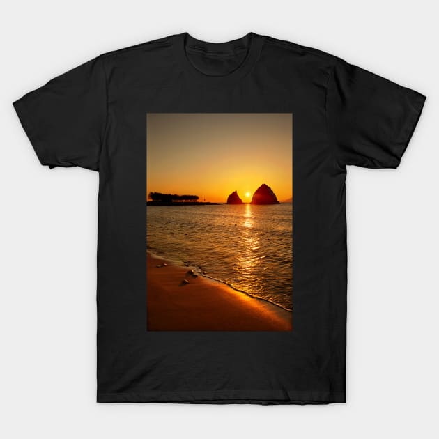 Remembering summer T-Shirt by Cretense72